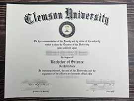 Is it easy to buy a Clemson University degree online?