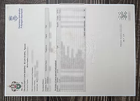 How can i get to buy Swansea University fake transcript?