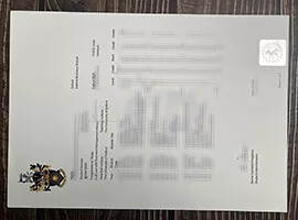 How to make the University of Salford transcript?