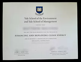 Obtain Yale School of the Environment fake diploma online.
