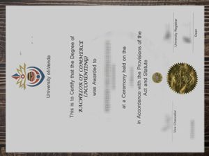 Obtain University of Venda fake diploma online.