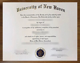 Fake a University of New Haven diploma.