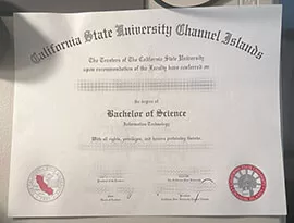 How to buy CSUCI fake certificate online?