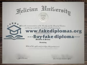 Buy Felician University fake diploma, Fake a Felician University degree.