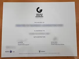 Obtain Grenoble Ecole de Management fake diploma online.