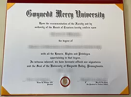 Get a Gwynedd Mercy University fake diploma.