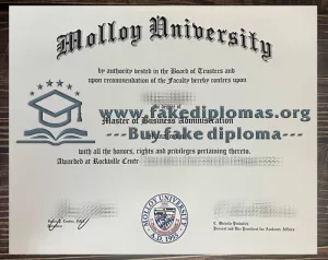 Buy a Molloy University fake diploma.