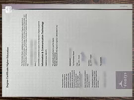 Fake a Fontys University of Applied Sciences diploma.