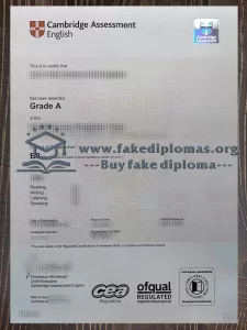 Get a Cambridge B2 English language fake certificate.