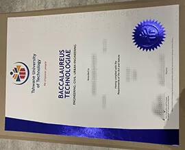 Process of Tshwane University of Technology diploma.