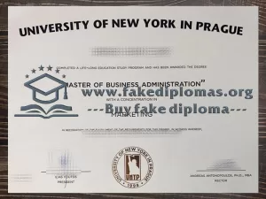 Buy a University of New York in Prague fake diploma.