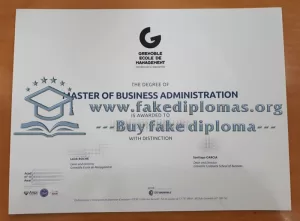 Get a Grenoble School of Management fake degree.